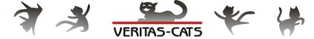 Клуб любиелей кошек Veritas-Cats