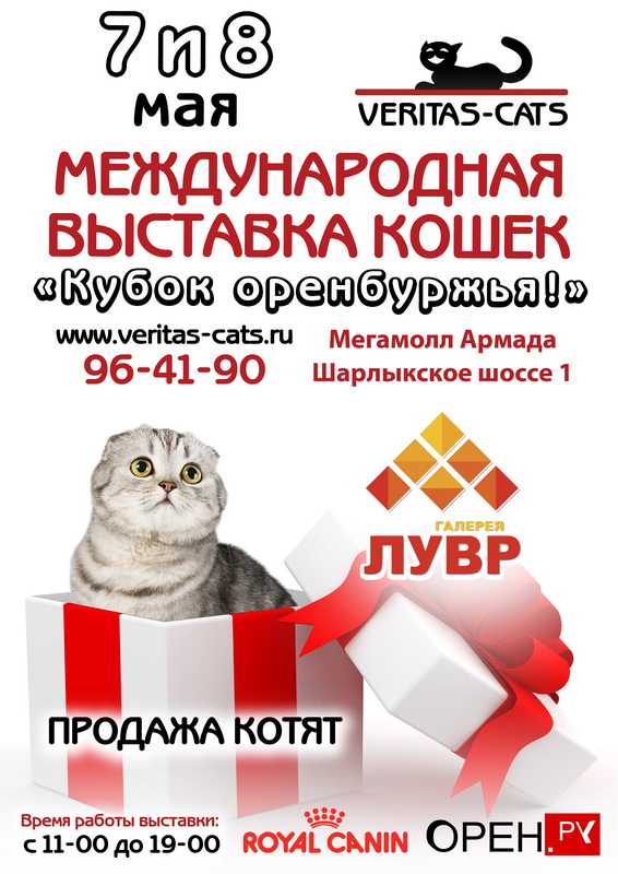 http://www.veritas-cats.ru/uploads/posts/2016-05/1462119929_maket-a4-luvr-armada-legkiy.jpg